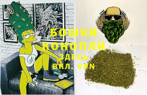 apvp Белокуриха