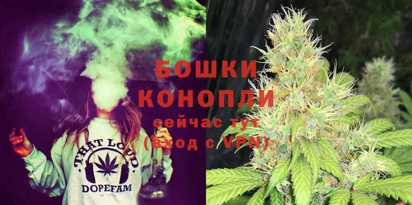 apvp Белокуриха