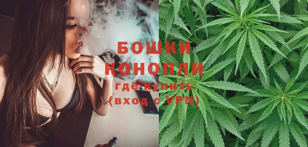 apvp Белокуриха