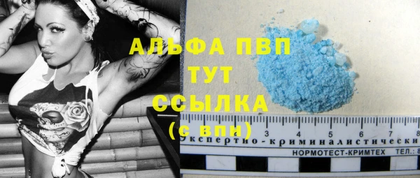 apvp Белокуриха