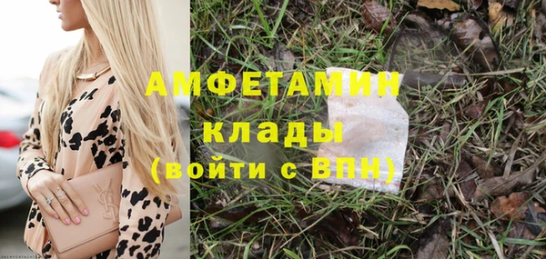 apvp Белокуриха