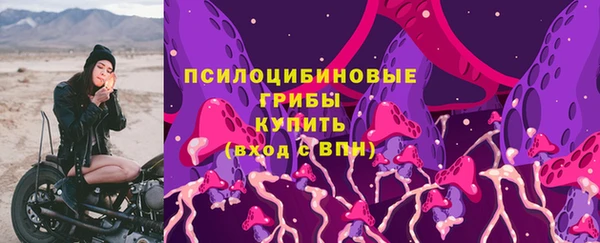 apvp Белокуриха